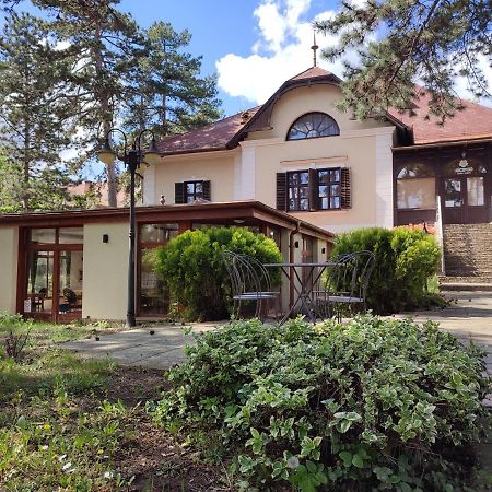 Imola Garden Vendeghaz Hotel Balatonfüred Eksteriør billede